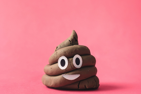 Perfect Poo in Perimenopause